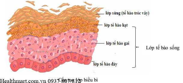 Tái tạo da là gì, Khi nào cần đẩy nhanh quá trình tái tạo da? 2