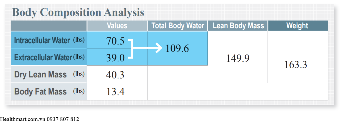 Chỉ số tổng lượng nước cơ thể Total Body Water là gì, ý nghĩa, cách đo 1
