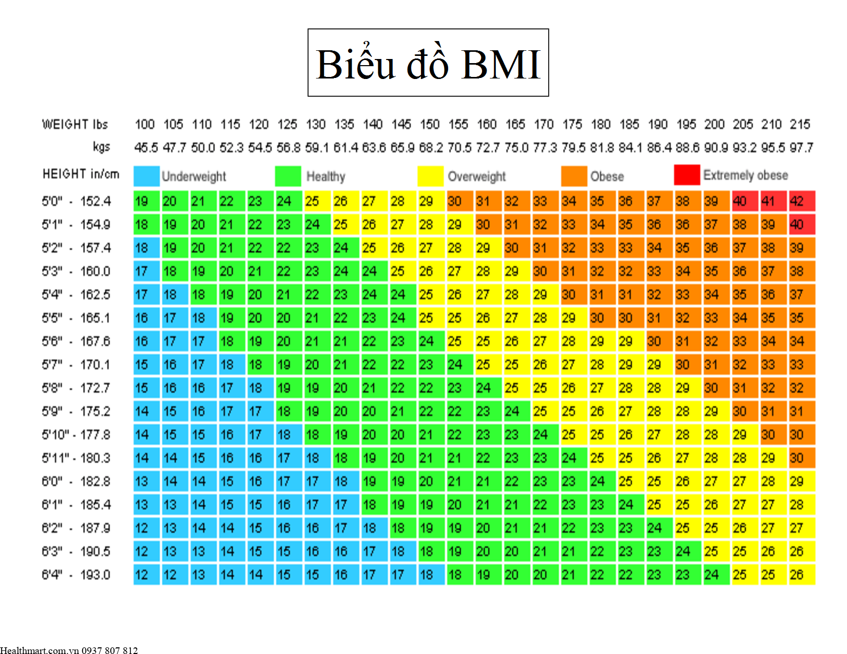 Tỷ lệ mỡ cơ thể nữ lý tưởng, chỉ số BMI lý tưởng cho nữ 1