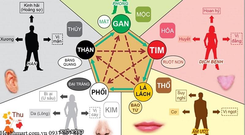 Chỉ số mỡ nội tạng là gì, bao nhiêu là hợp lý? 1