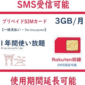 Sim Rakuten 3